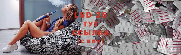 ГАЛЛЮЦИНОГЕННЫЕ ГРИБЫ Алексеевка