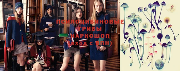 jwh Алзамай