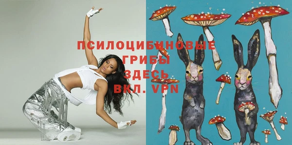 jwh Алзамай