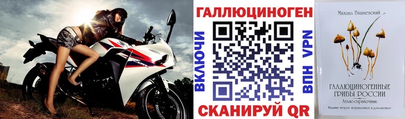 где купить наркоту  Ярцево  Псилоцибиновые грибы MAGIC MUSHROOMS 